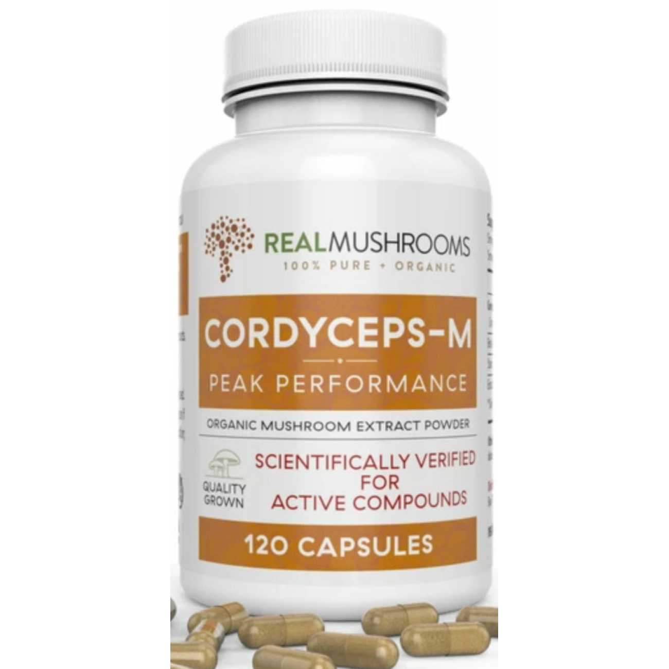 Cordyceps-M - 120 Capsules