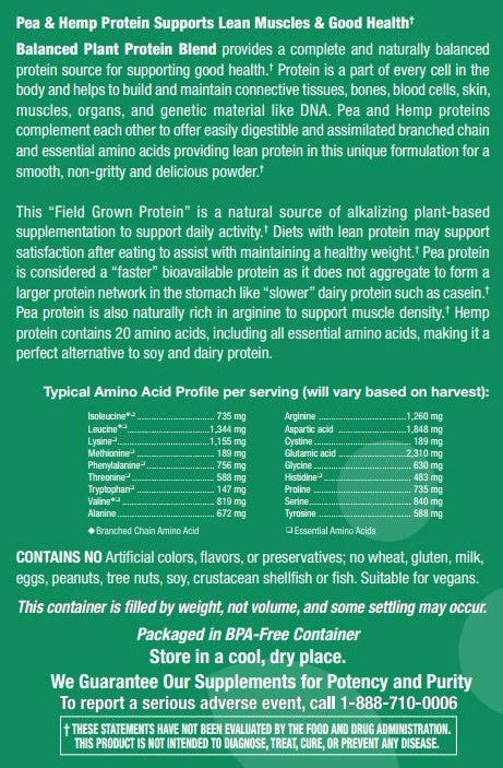 Balanced Plant Protein Blend - Natural Chocolate Flavor - 13.8 oz